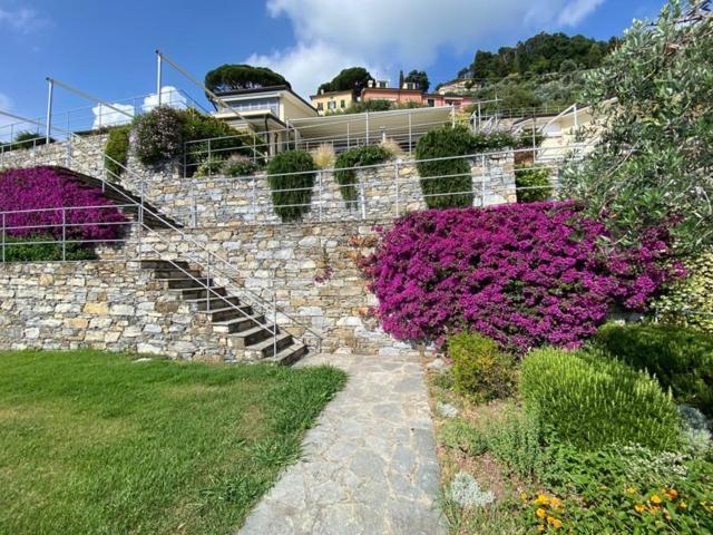 Camogli - "Casa Oliver" - Liguria Holidays エクステリア 写真